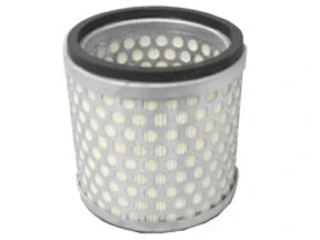 Air Filter - A2129
