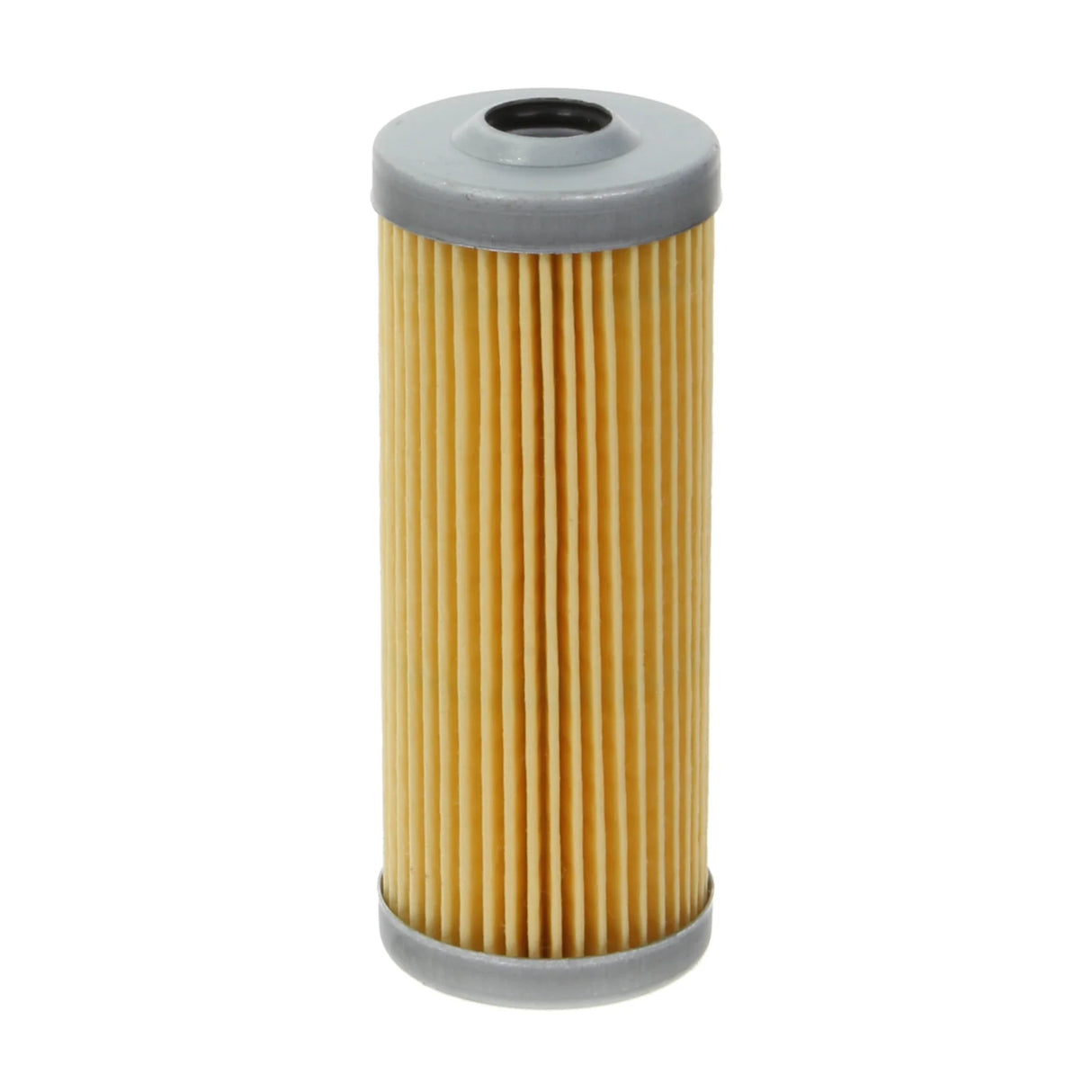 Fuel Filter - F109