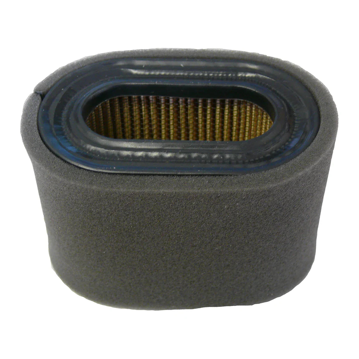Air Filter - A1231/1