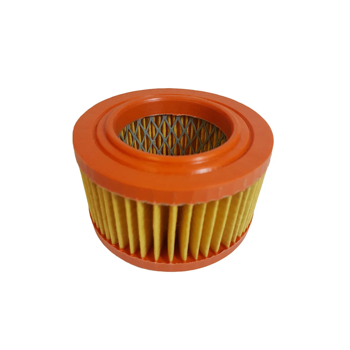 Air Filter fits Lister Petter AA1