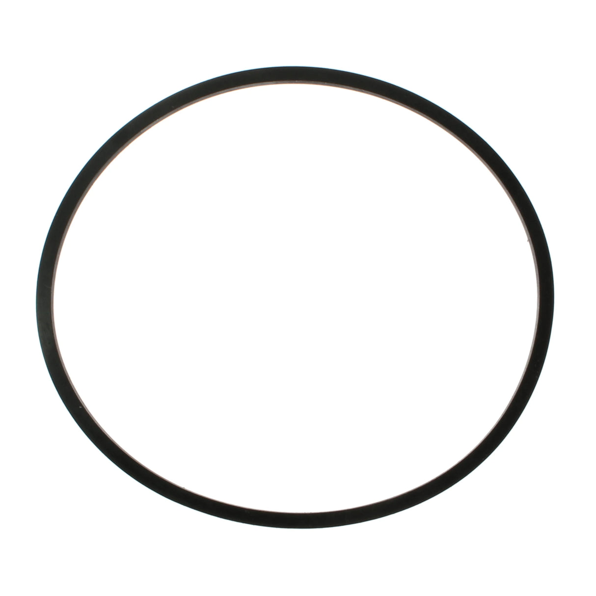 SR4609 Sealing Ring