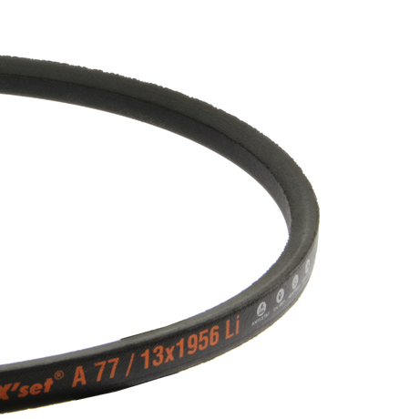 38" Cutter Deck Belt Fits Mountfield MTD 1538M-SD 1538H-SD T38M-SD Replaces 135061504/0