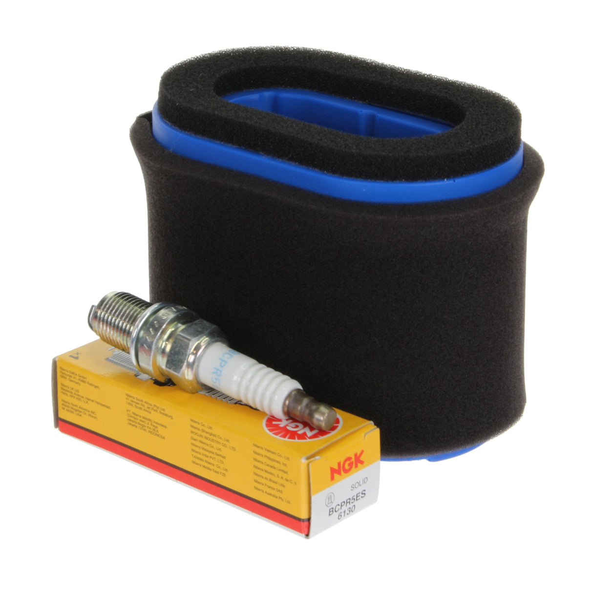 Service Kit fits Hayter Harrier 56 Intek Edge Ohv Engine  Air Filter NGK Plug