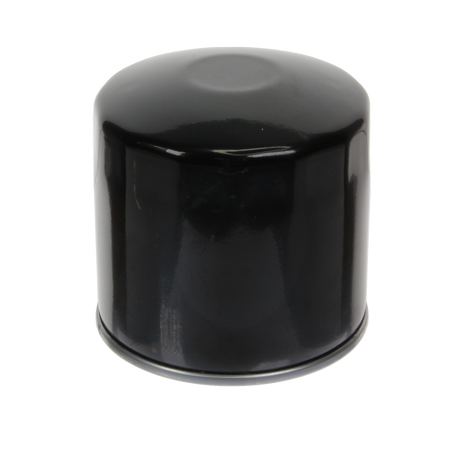Oil Filter - S3003