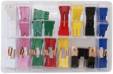 Assorted PAL Fuses (Qty 30)